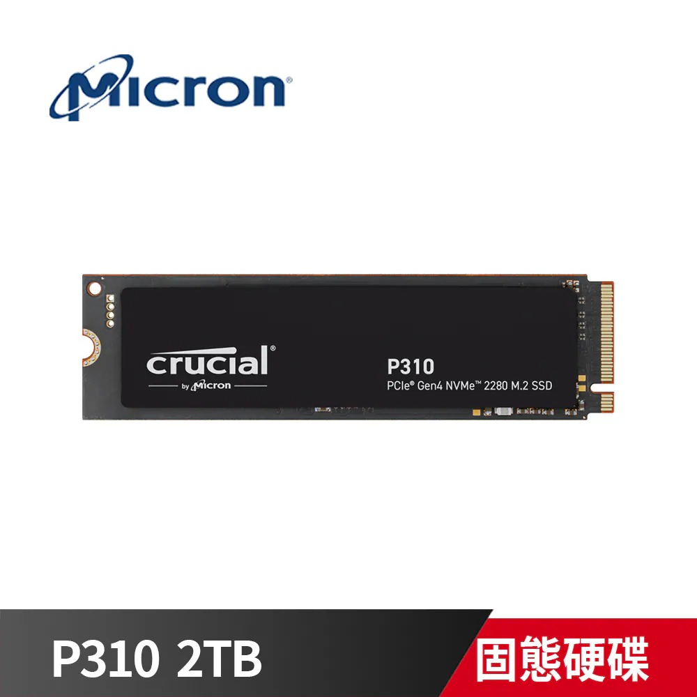 P310 2TB