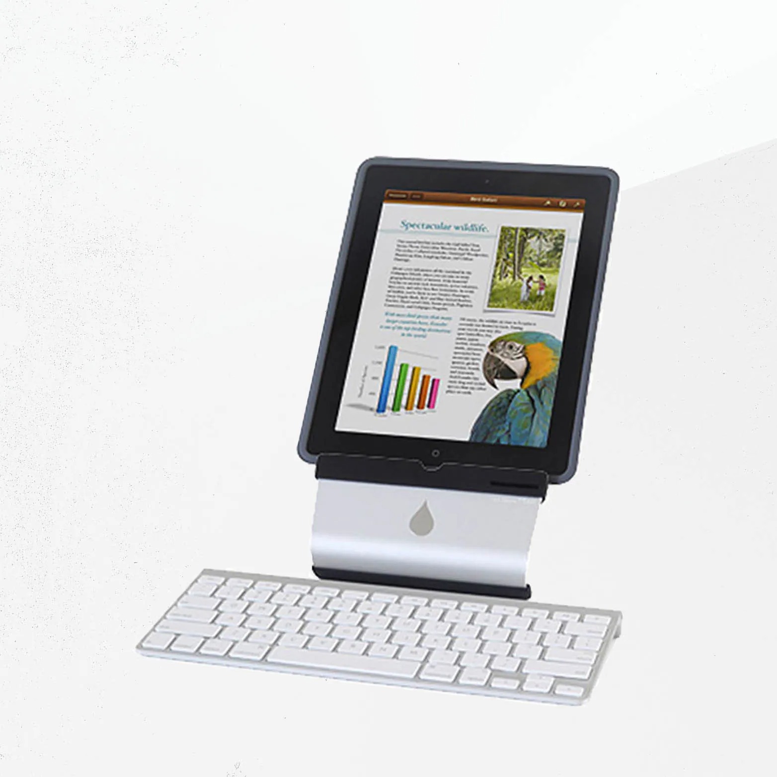 Rain Design iRest iPad